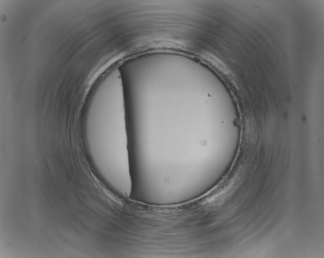 X0000068770782200604281017