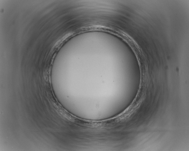 X0000068770785200604281016