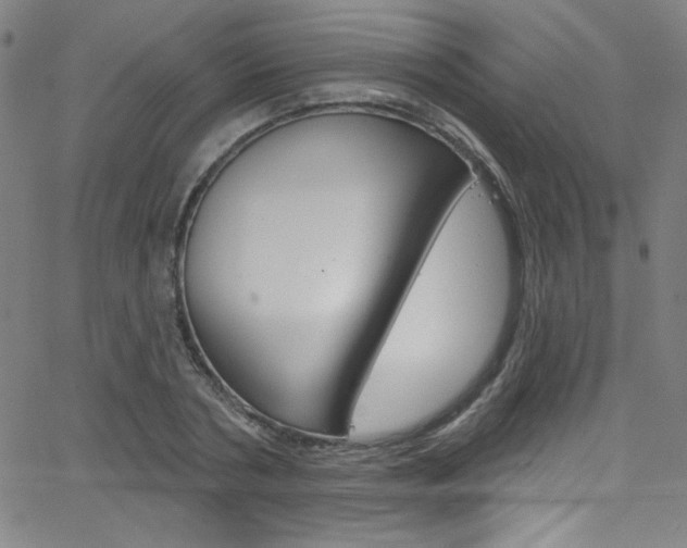 X0000068770786200604281016