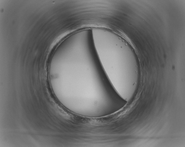 X0000068770787200604281016