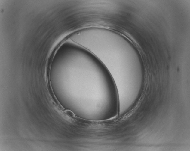 X0000068770788200604281016