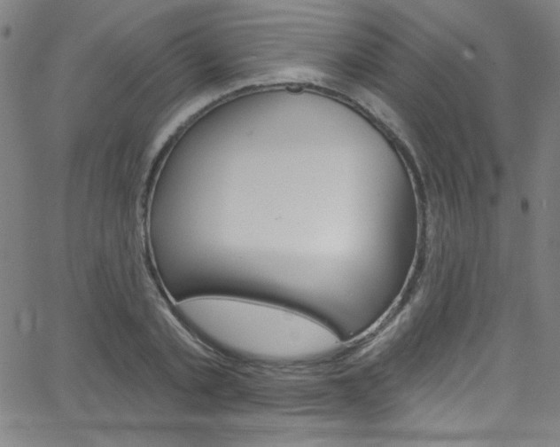 X0000068770789200604281016