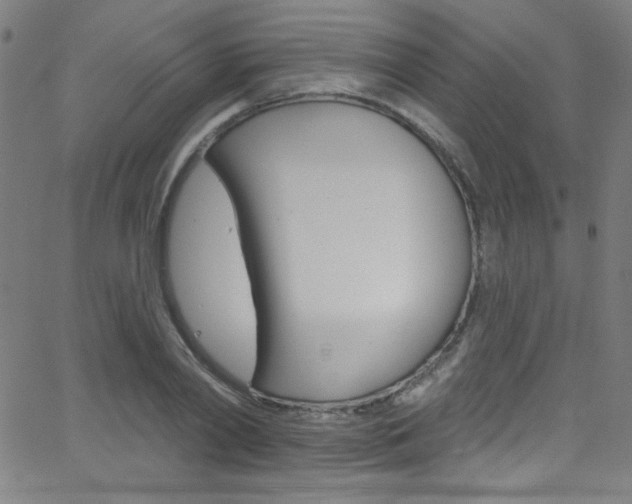 X0000068770790200604281016