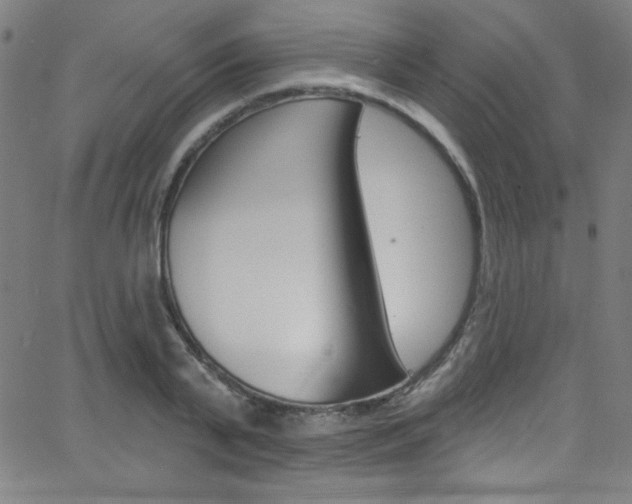 X0000068770791200604281016