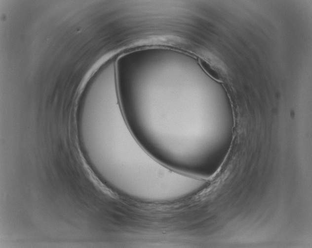 X0000068770792200604281016