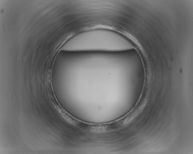 X0000068770793200604281016