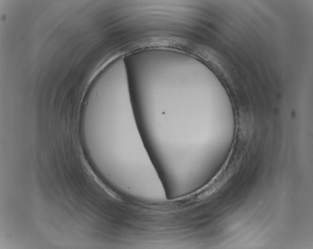 X0000068770794200604281016