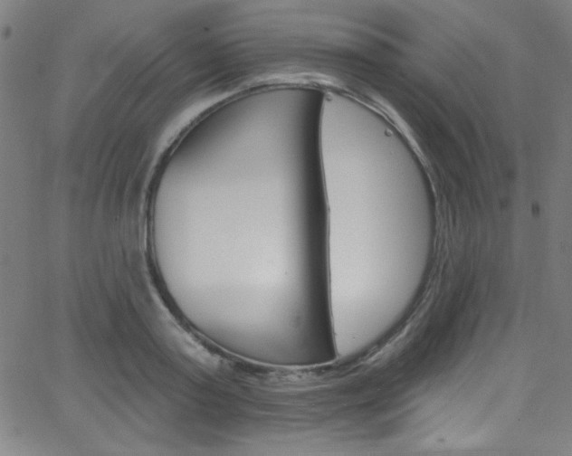 X0000068770795200604281016