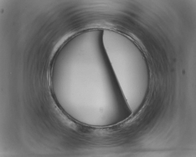 X0000068770796200604281016