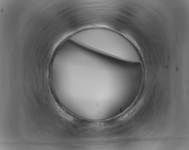 X0000068770797200604281016