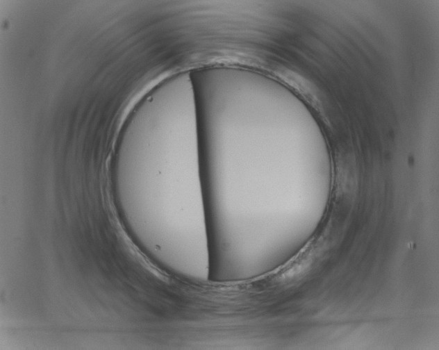 X0000068770798200604281016