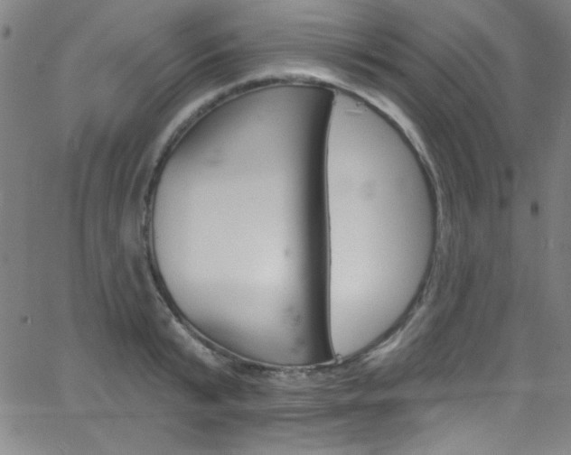 X0000068770799200604281016