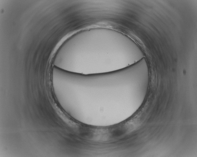 X0000068770800200604281016