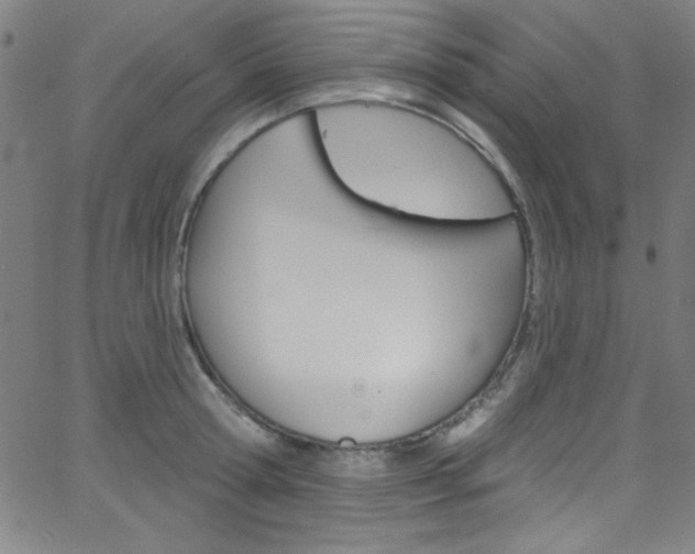 X0000068770802200604281016