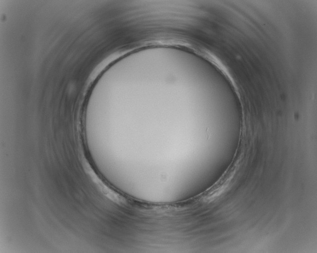 X0000068770803200604281016