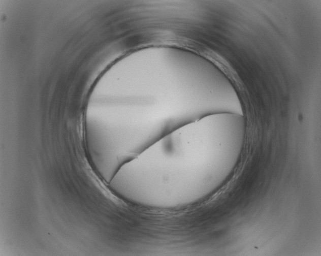 X0000068770804200604281016