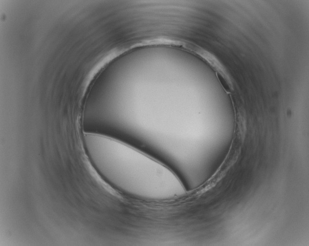 X0000068770805200604281016