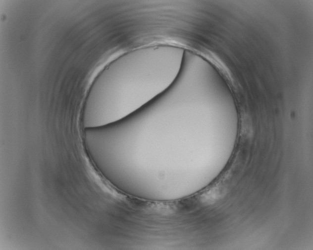 X0000068770806200604281016