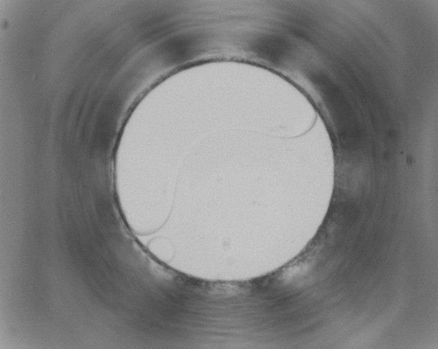 X0000068770807200604281016