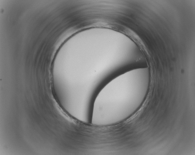 X0000068770808200604281016