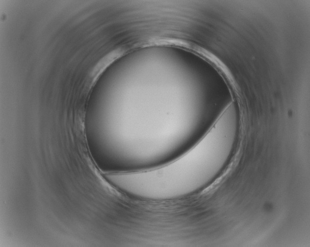 X0000068770809200604281016