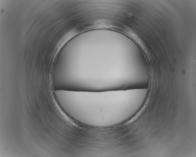 X0000068770810200604281016