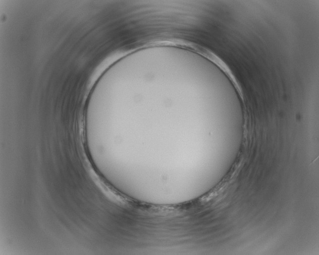 X0000068770811200604281016