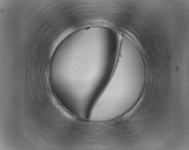 X0000068770812200604281016