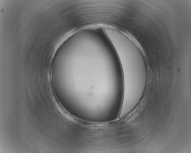 X0000068770813200604281016