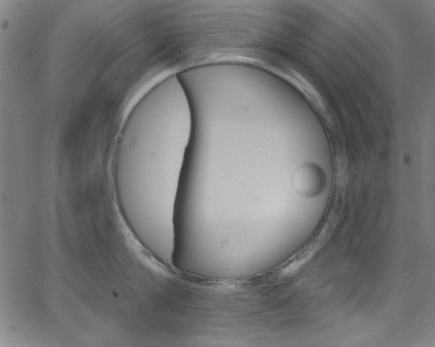 X0000068770814200604281016