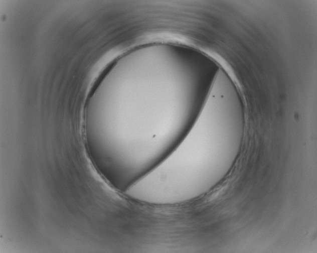 X0000068770815200604281016