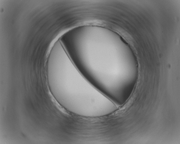 X0000068770816200604281016