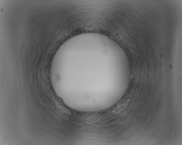 X0000068770817200604281015