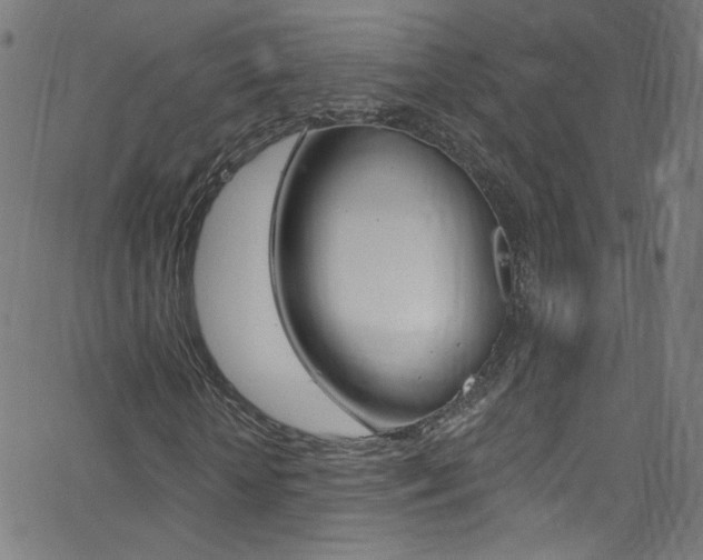 X0000068770818200604281015