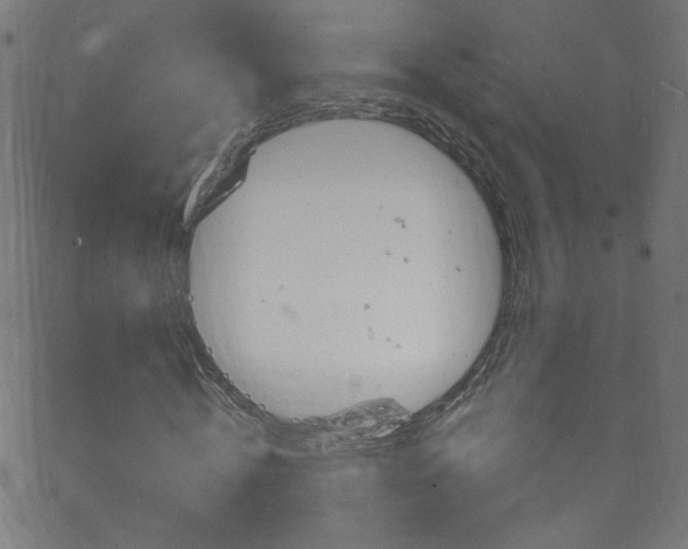 X0000068770820200604281015