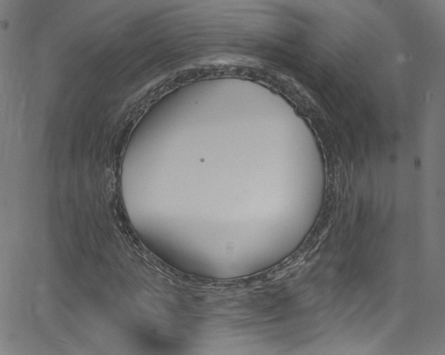 X0000068770821200604281015