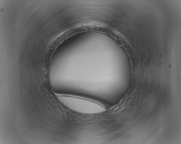 X0000068770822200604281015