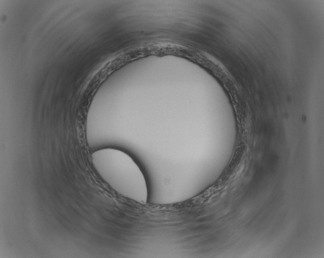 X0000068770823200604281015