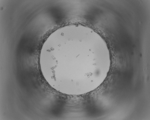 X0000068770824200604281015