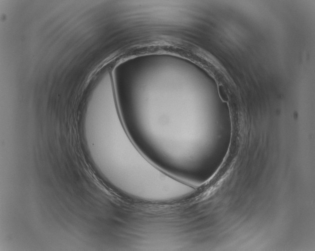 X0000068770826200604281015