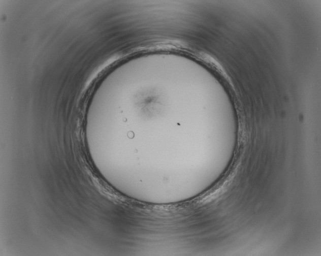 X0000068770827200604281015