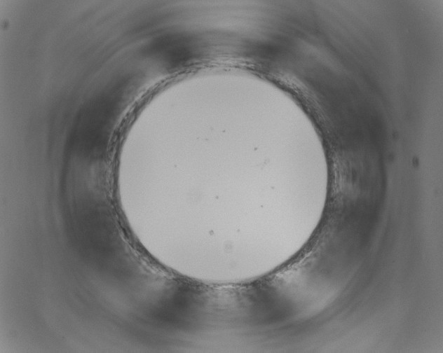 X0000068770828200604281015