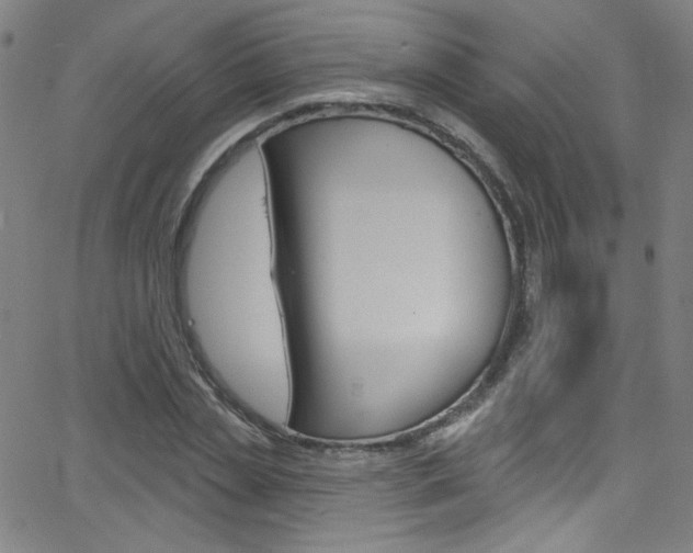 X0000068770829200604281015