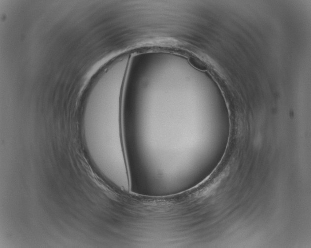 X0000068770830200604281015