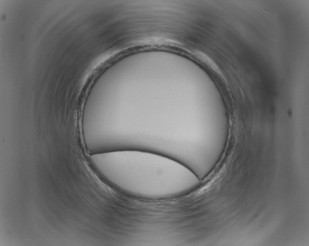 X0000068770831200604281015