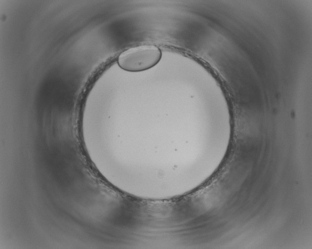 X0000068770832200604281015