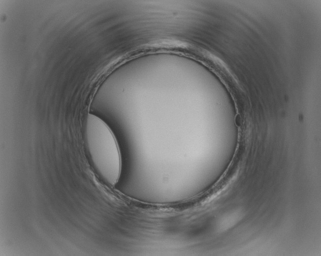 X0000068770833200604281015