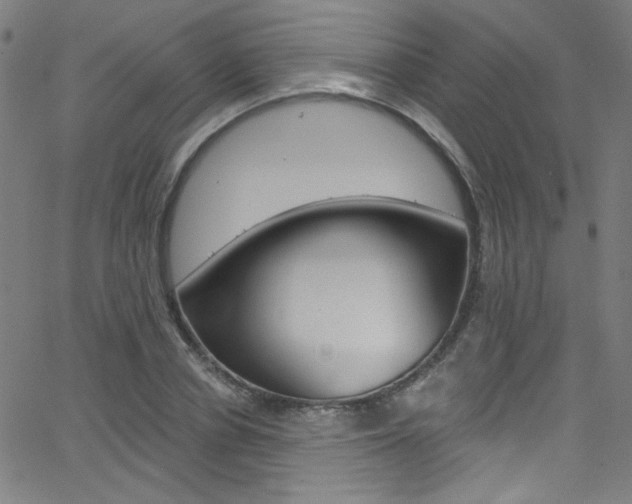 X0000068770834200604281015