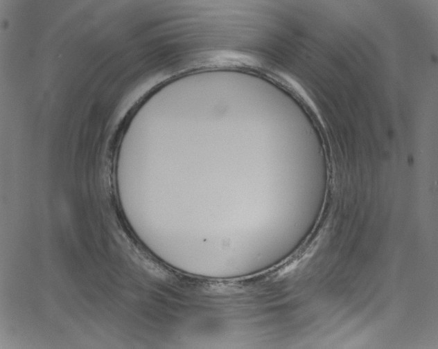 X0000068770835200604281015