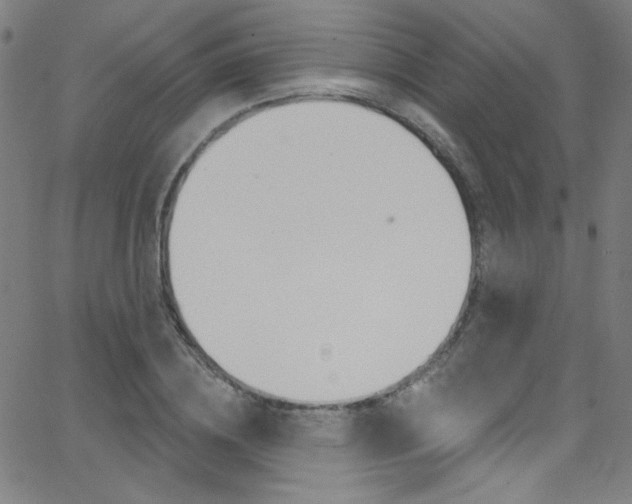 X0000068770836200604281016